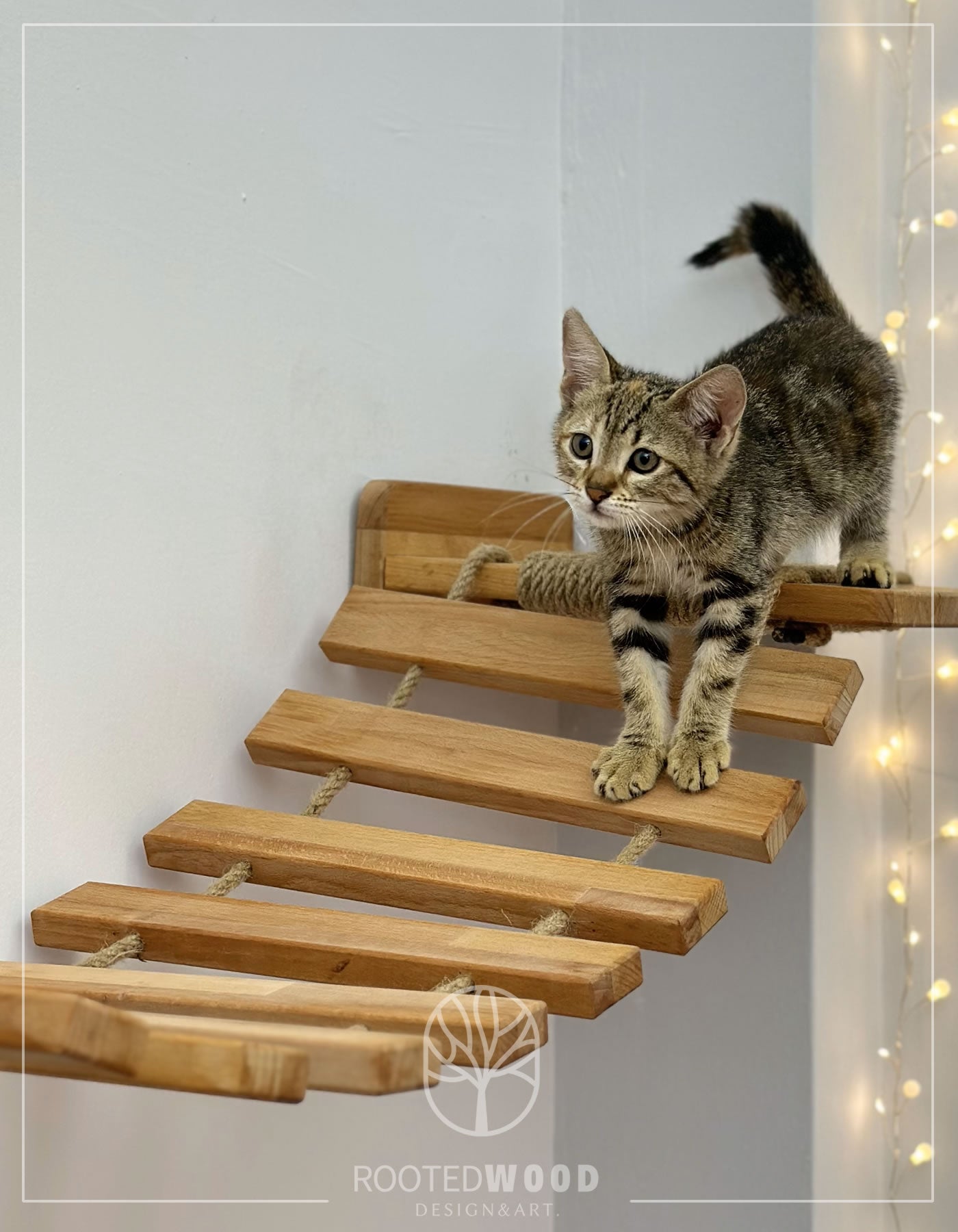 Cat Bed, Cat Furniture, Cat Climbing, Cat Bridge, Cat Wall Furniture, Cat Tower, Cat Toy, Cat Tree, Cat Hammock, Modern Cat Furniture, Cat Cave, Pet Steps 