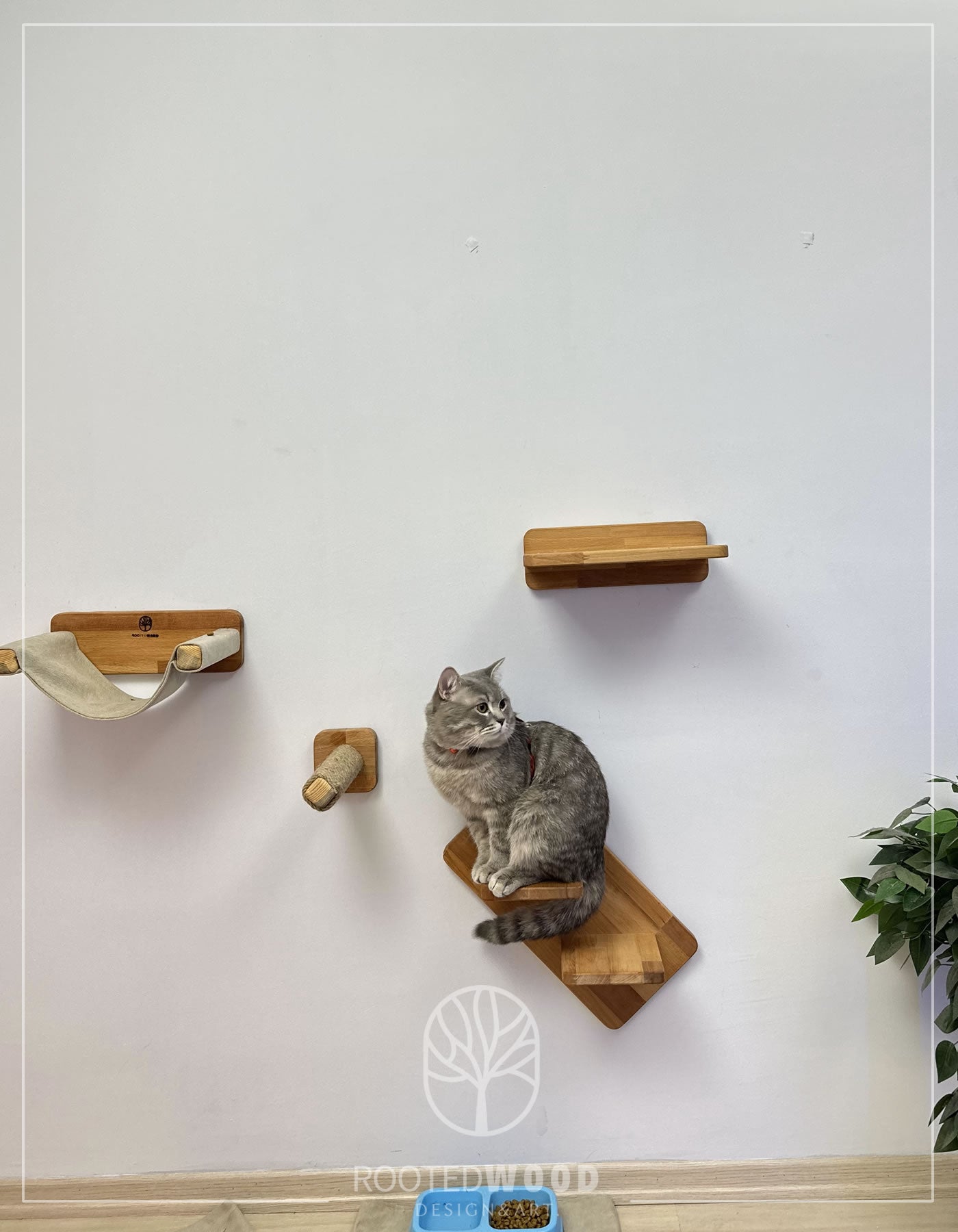 Cat Bed, Cat Furniture, Cat Play, Cat Bridge, Pet Furniture, Cat Wall Furniture, Pet Hammock, Cat Toy, Cat Tree, Cat Hammock, Modern Cat Furniture, 