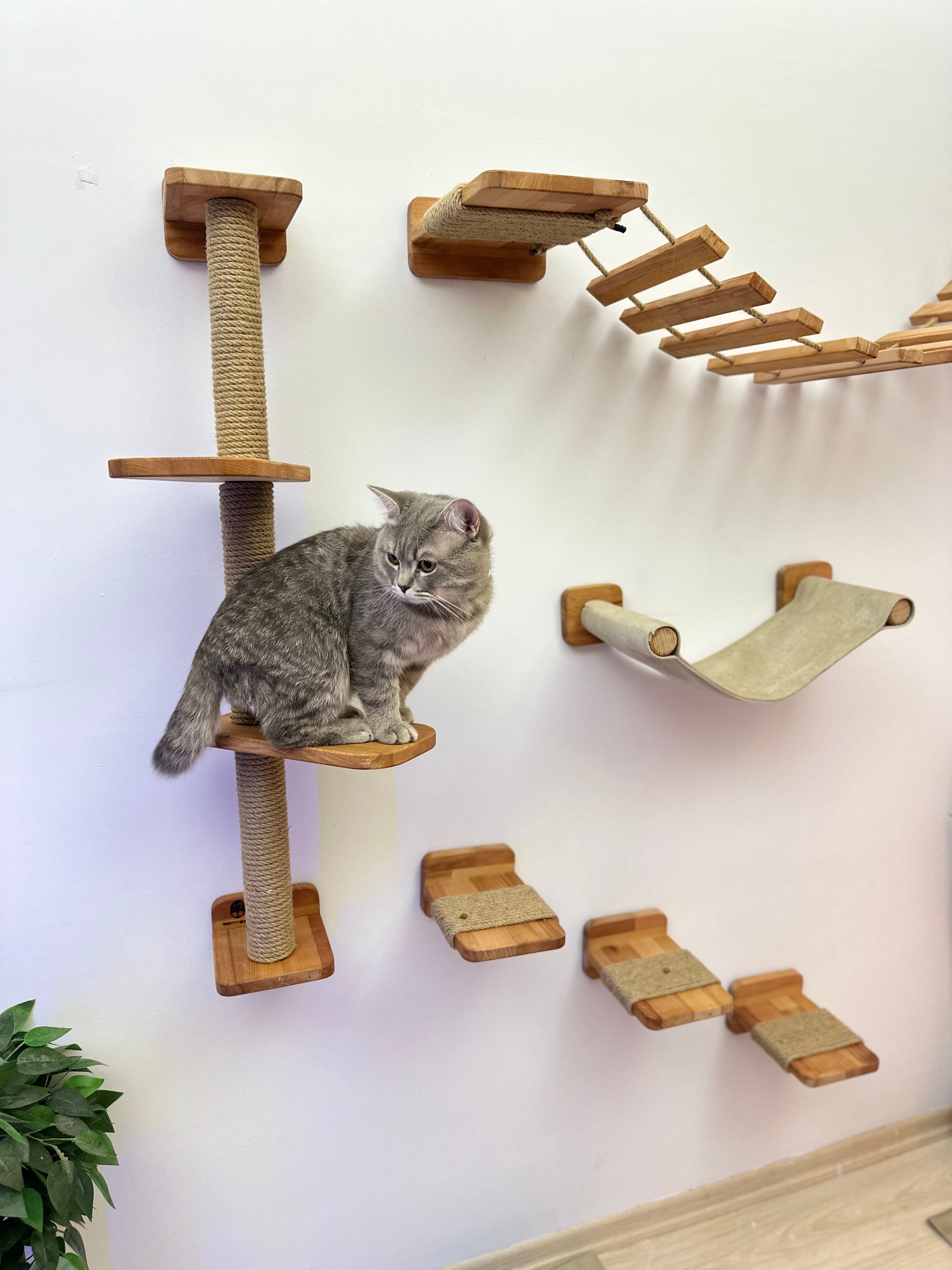 Cat Bed, Cat Furniture, Cat Climbing, Cat Bridge, Cat Bridge for Wall, Cat Wall Furniture, Cat Tower, Cat Toy, Cat Tree, Cat Hammock, Pet Steps 