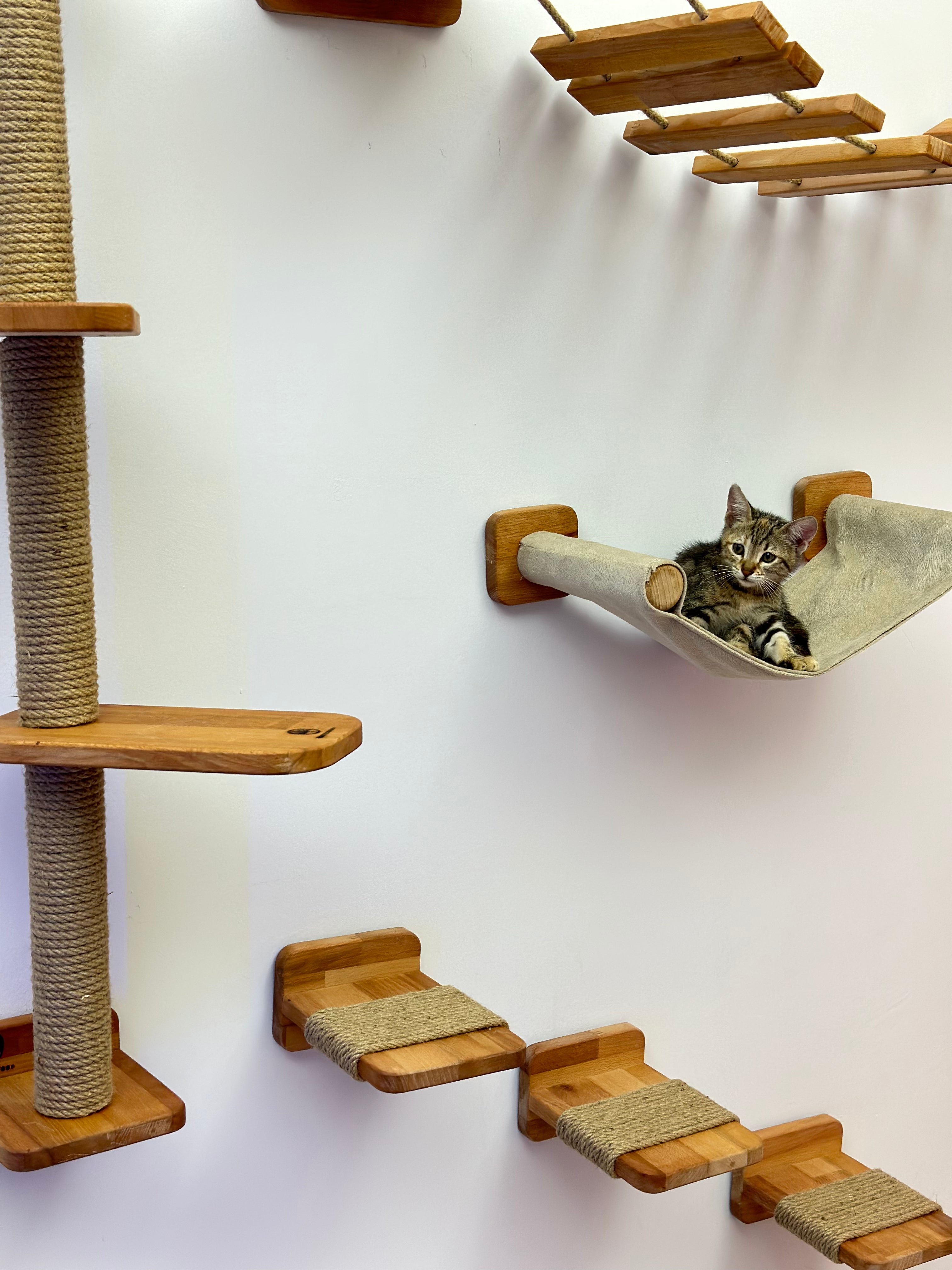 Cat Bed, Cat Furniture, Cat Climbing, Cat Bridge, Cat Bridge for Wall, Cat Wall Furniture, Cat Tower, Cat Toy, Cat Tree, Cat Hammock, , Cat Cave, Pet Steps 